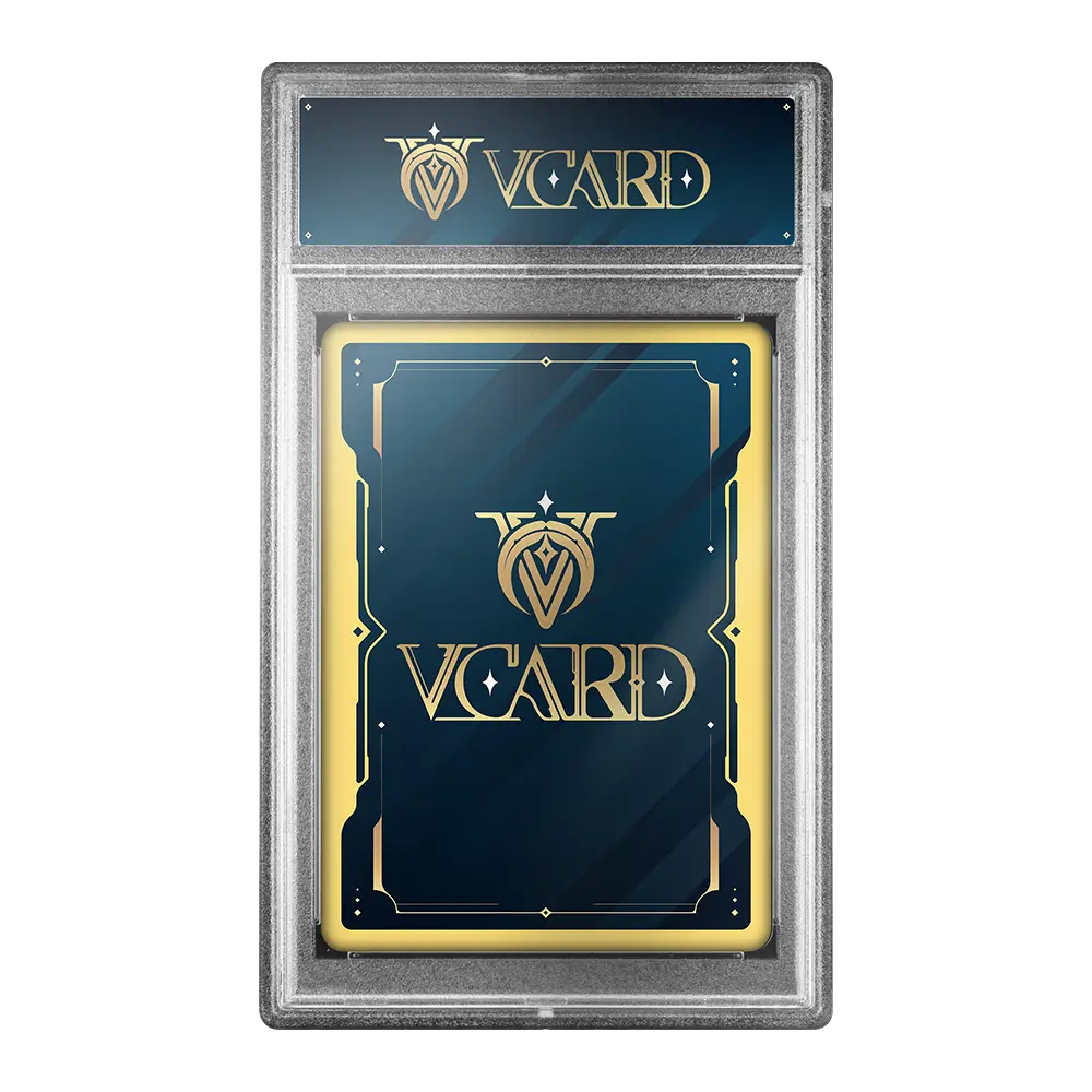 Vcard Promo Slab - Image 4